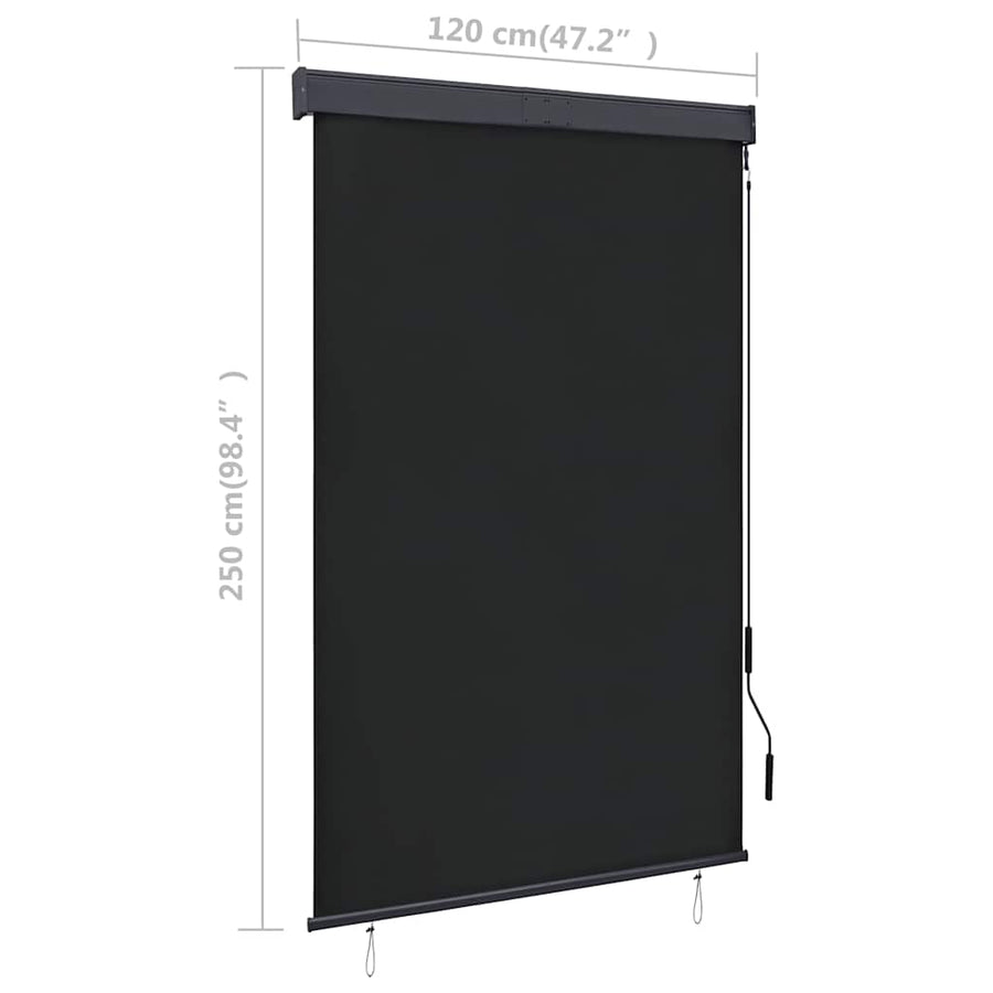 Rolgordijn voor buiten 120x250 cm antraciet
