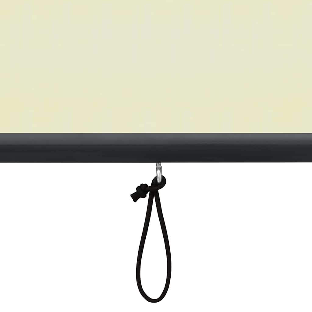 Rolgordijn voor buiten 120x250 cm crème