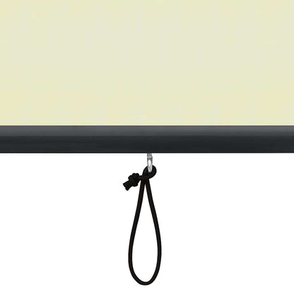 Rolgordijn voor buiten 120x250 cm crème