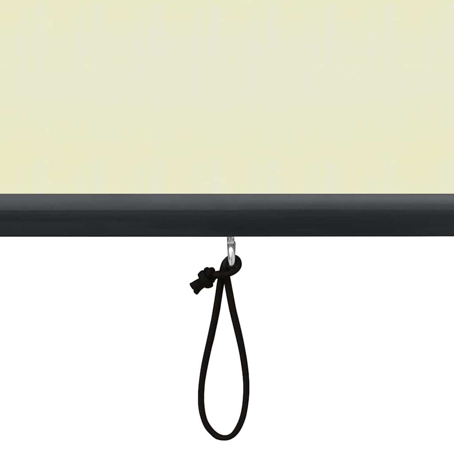 Rolgordijn voor buiten 120x250 cm crème