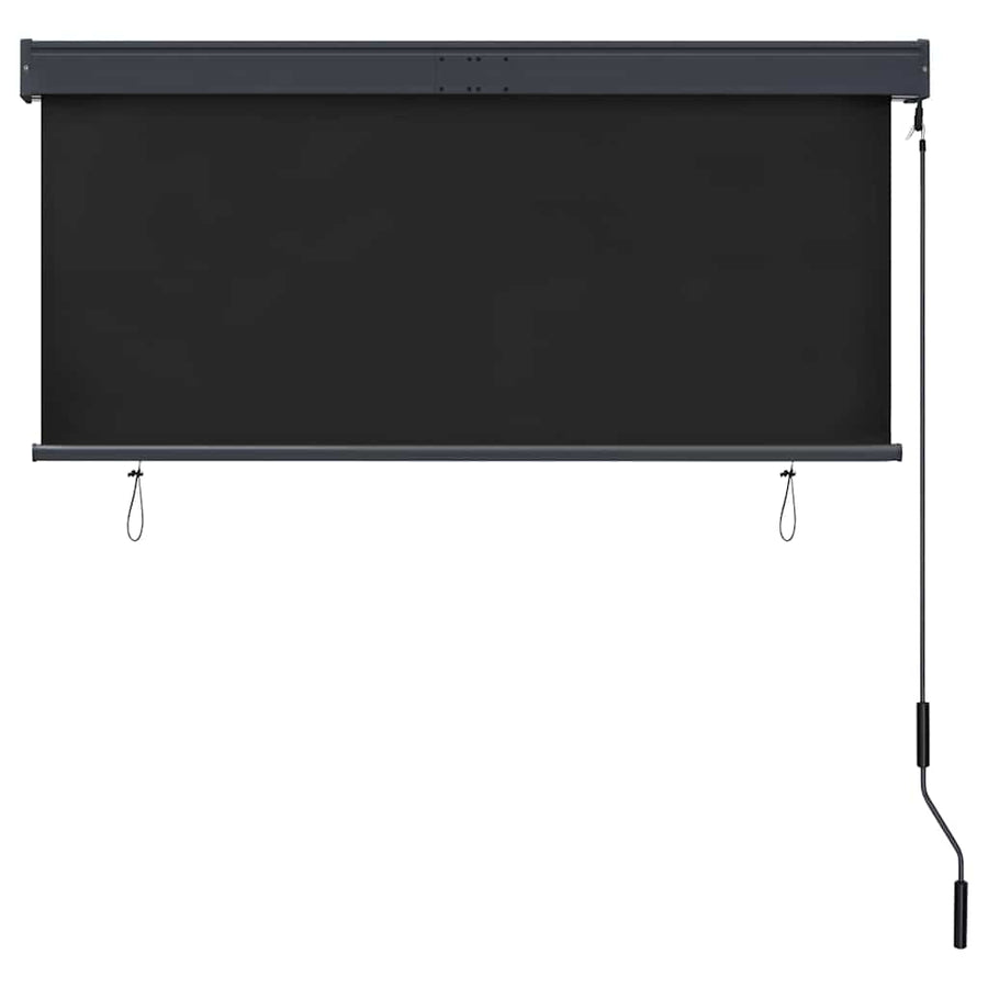 Rolgordijn voor buiten 140x250 cm antraciet