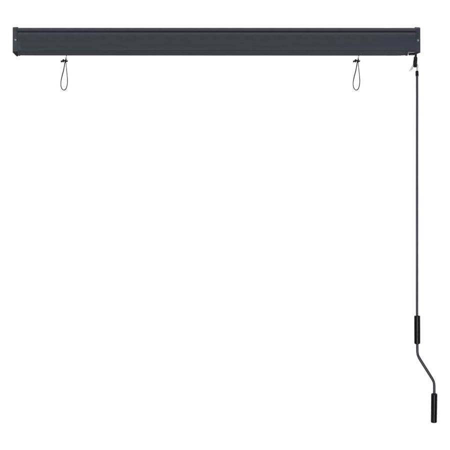 Rolgordijn voor buiten 140x250 cm antraciet