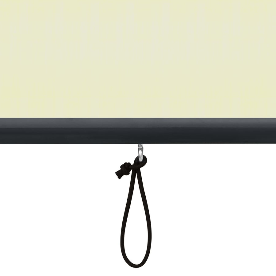Rolgordijn voor buiten 140x250 cm crème