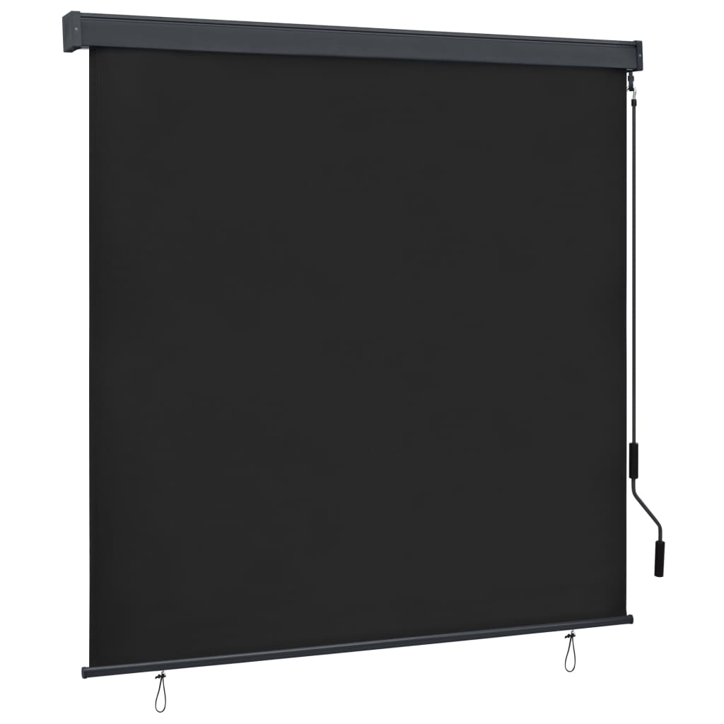Rolgordijn voor buiten 160x250 cm antraciet