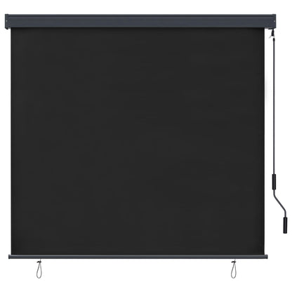 Rolgordijn voor buiten 160x250 cm antraciet
