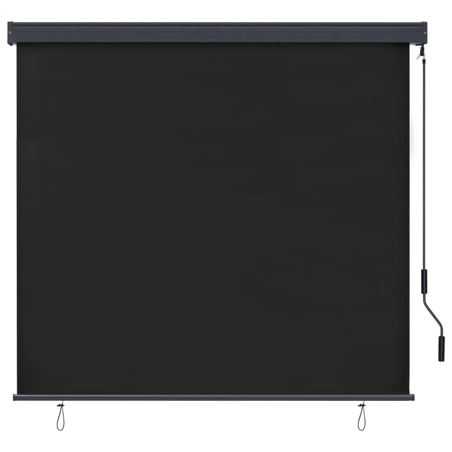 Rolgordijn voor buiten 160x250 cm antraciet
