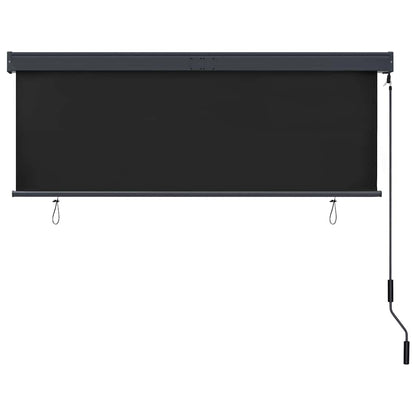 Rolgordijn voor buiten 160x250 cm antraciet