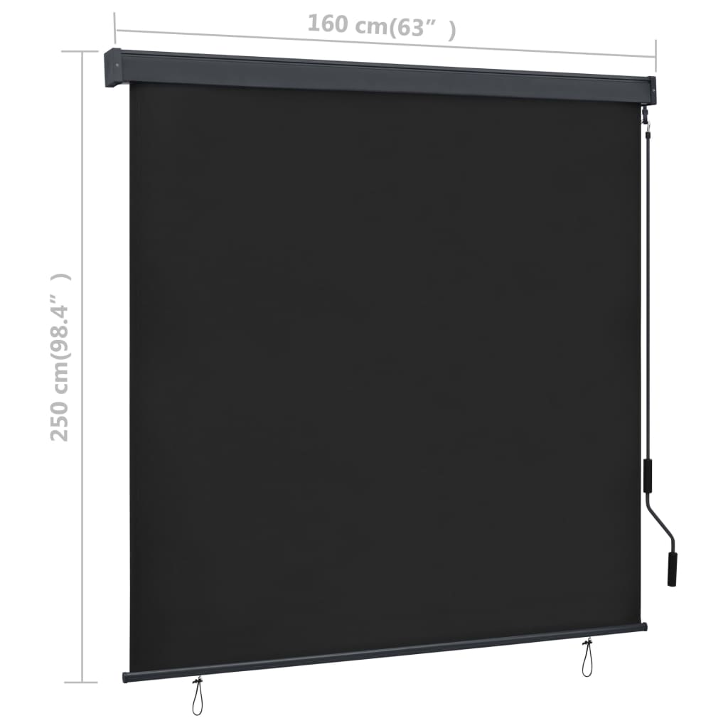 Rolgordijn voor buiten 160x250 cm antraciet