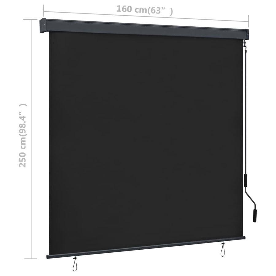 Rolgordijn voor buiten 160x250 cm antraciet