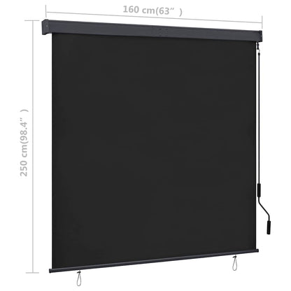 Rolgordijn voor buiten 160x250 cm antraciet
