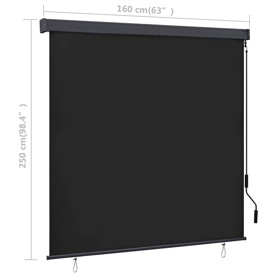 Rolgordijn voor buiten 160x250 cm antraciet