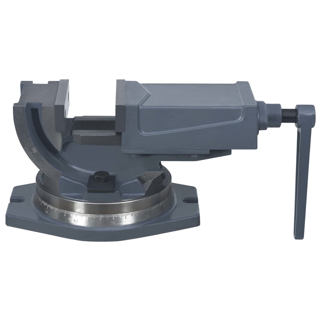 Bankschroef Met 2 Assen Kantelbaar 100 mm