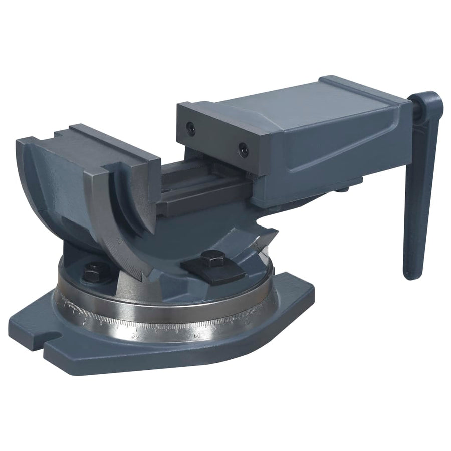Bankschroef Met 2 Assen Kantelbaar 100 mm
