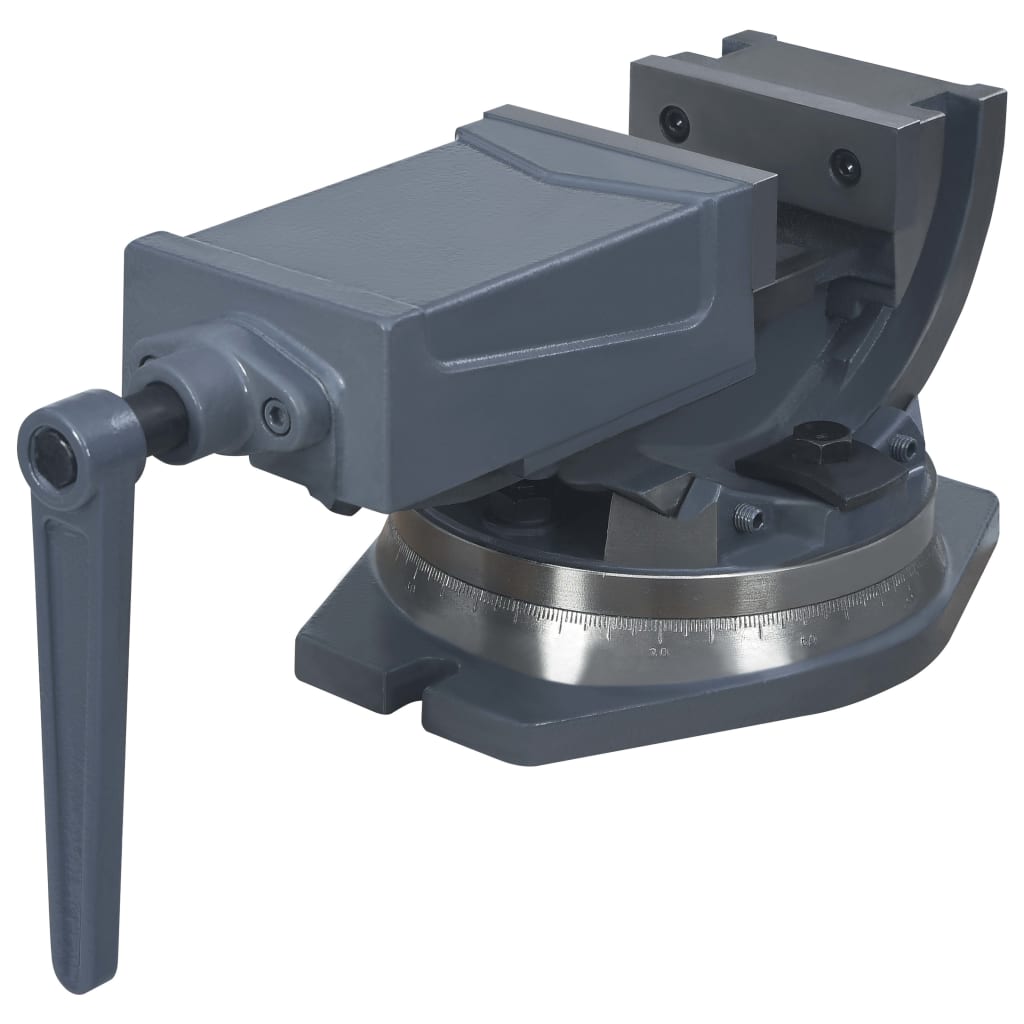 Bankschroef Met 2 Assen Kantelbaar 100 mm