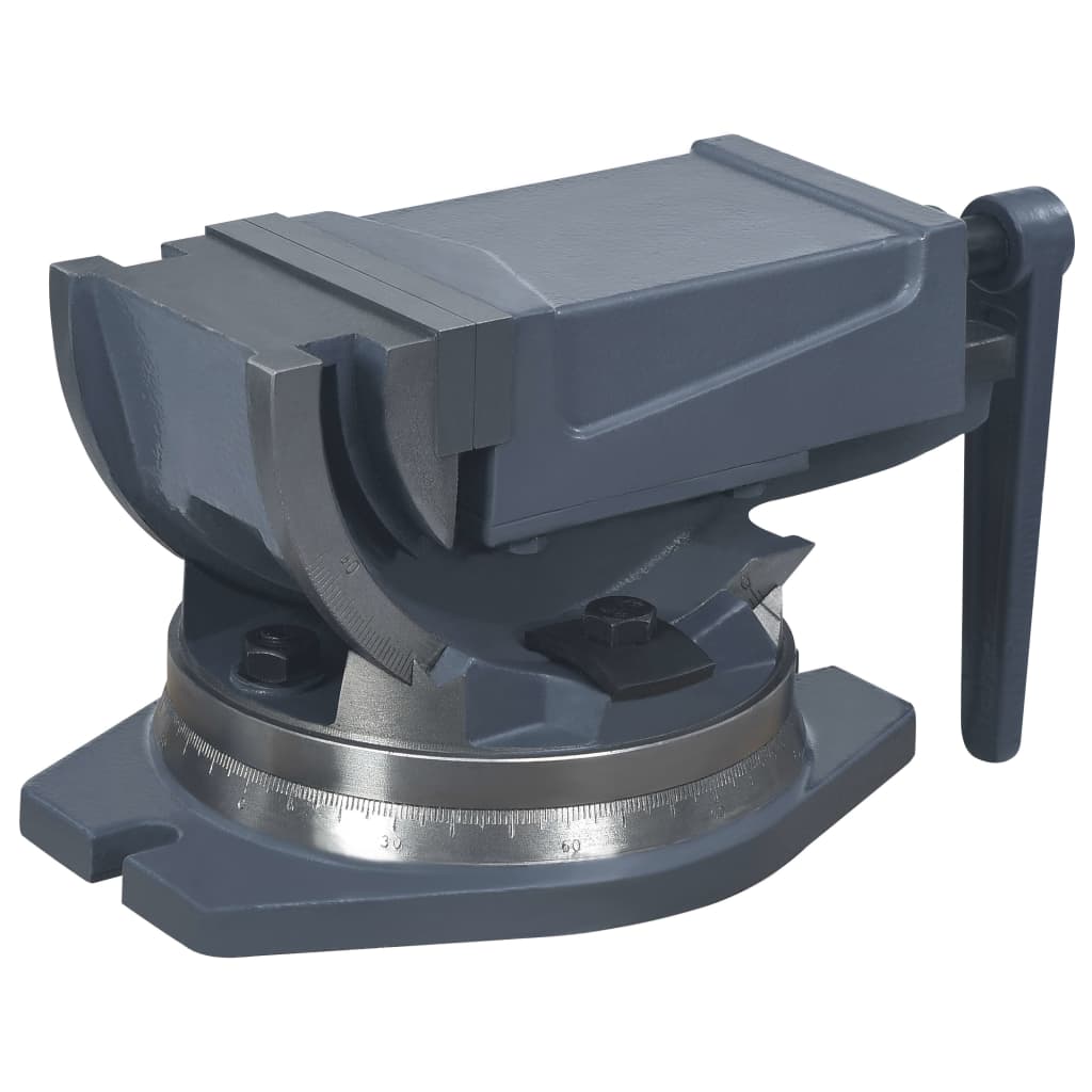 Bankschroef Met 2 Assen Kantelbaar 100 mm