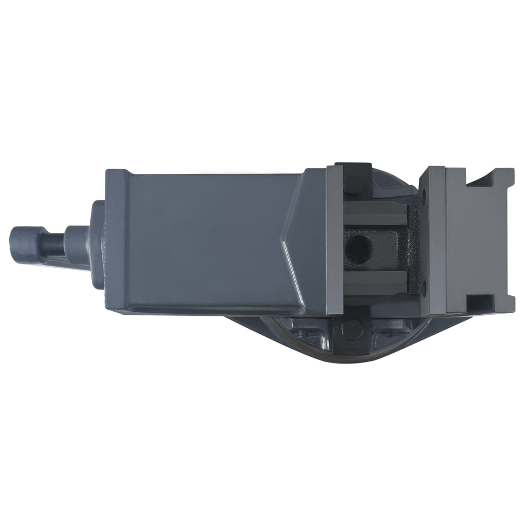 Bankschroef Met 2 Assen Kantelbaar 100 mm