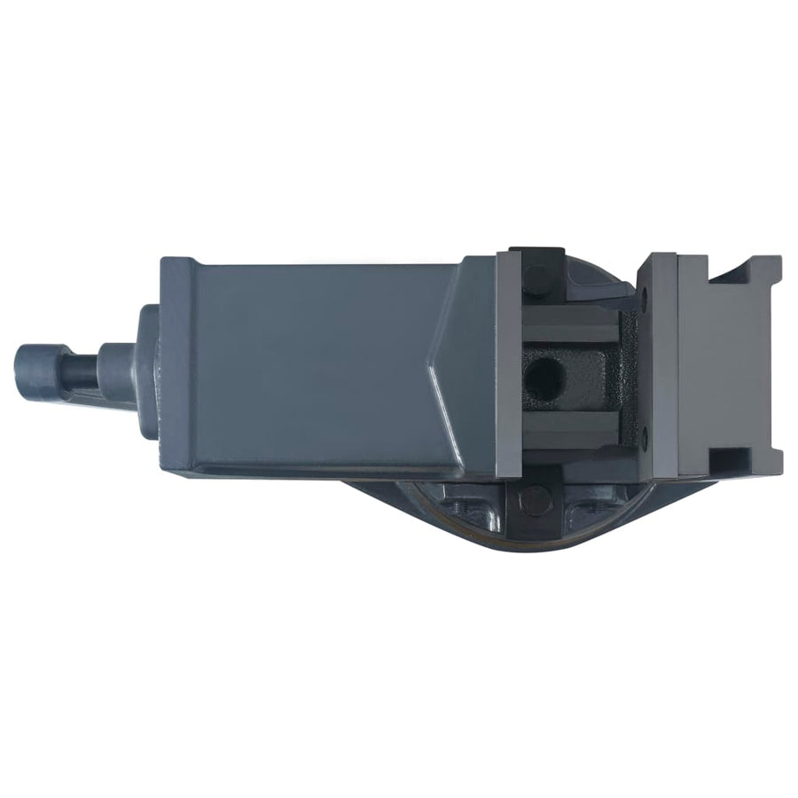 Bankschroef Met 2 Assen Kantelbaar 100 mm