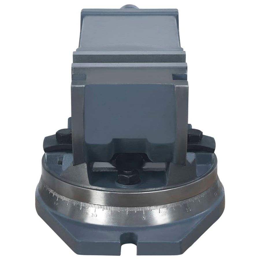 Bankschroef Met 2 Assen Kantelbaar 100 mm