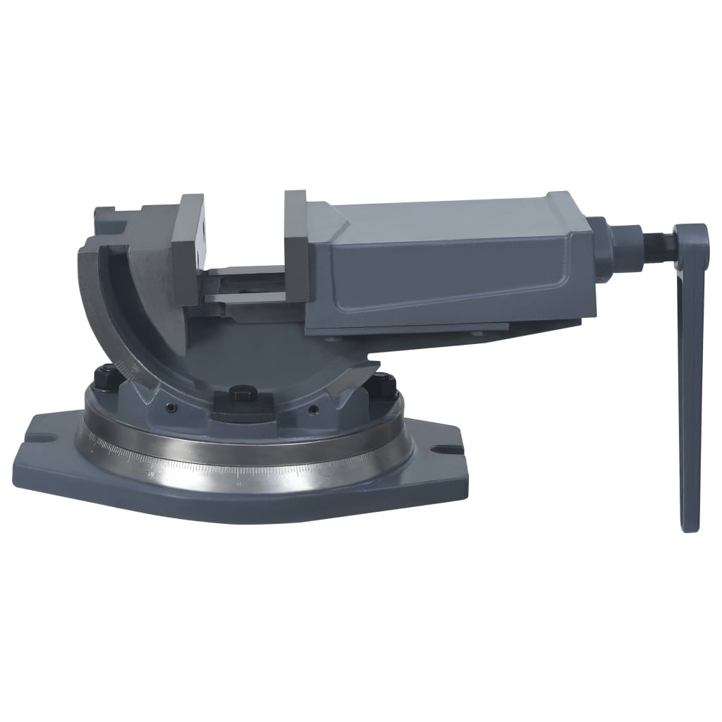 Bankschroef Met 2 Assen Kantelbaar 160 mm