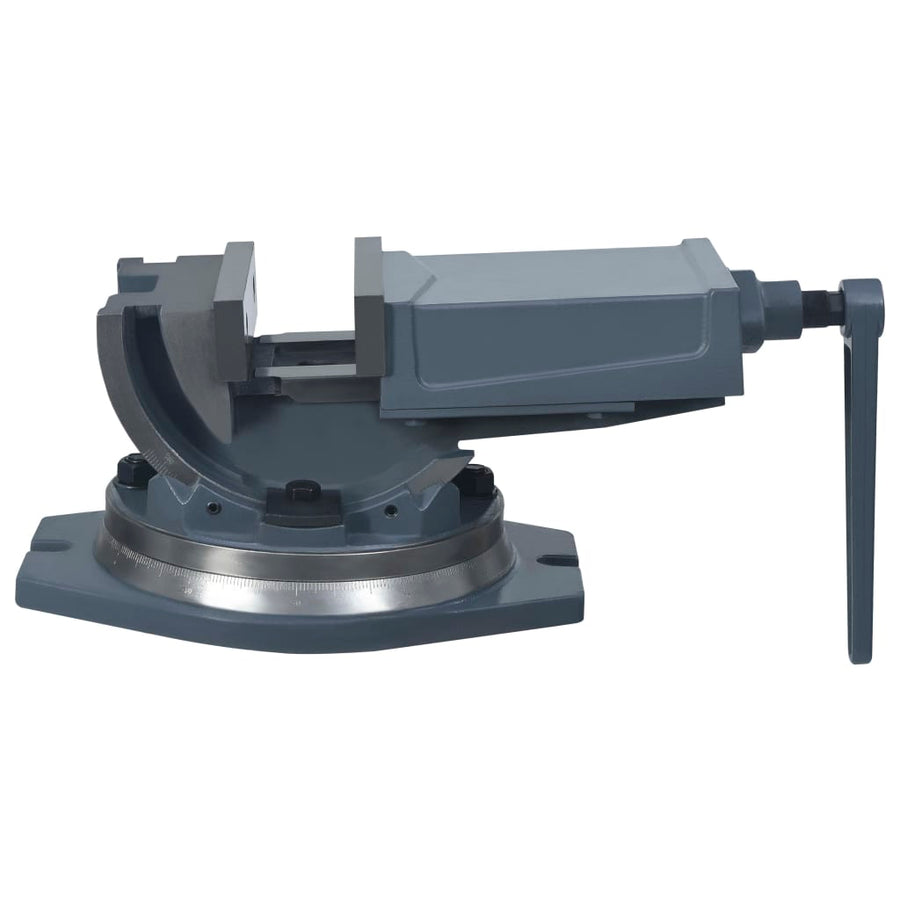 Bankschroef Met 2 Assen Kantelbaar 160 mm