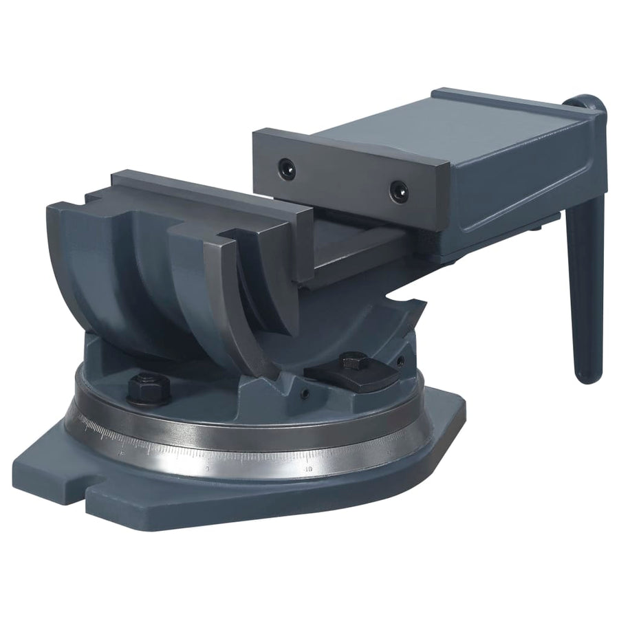 Bankschroef Met 2 Assen Kantelbaar 160 mm