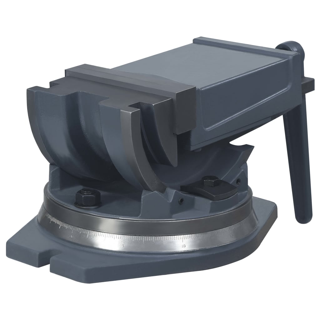 Bankschroef Met 2 Assen Kantelbaar 160 mm