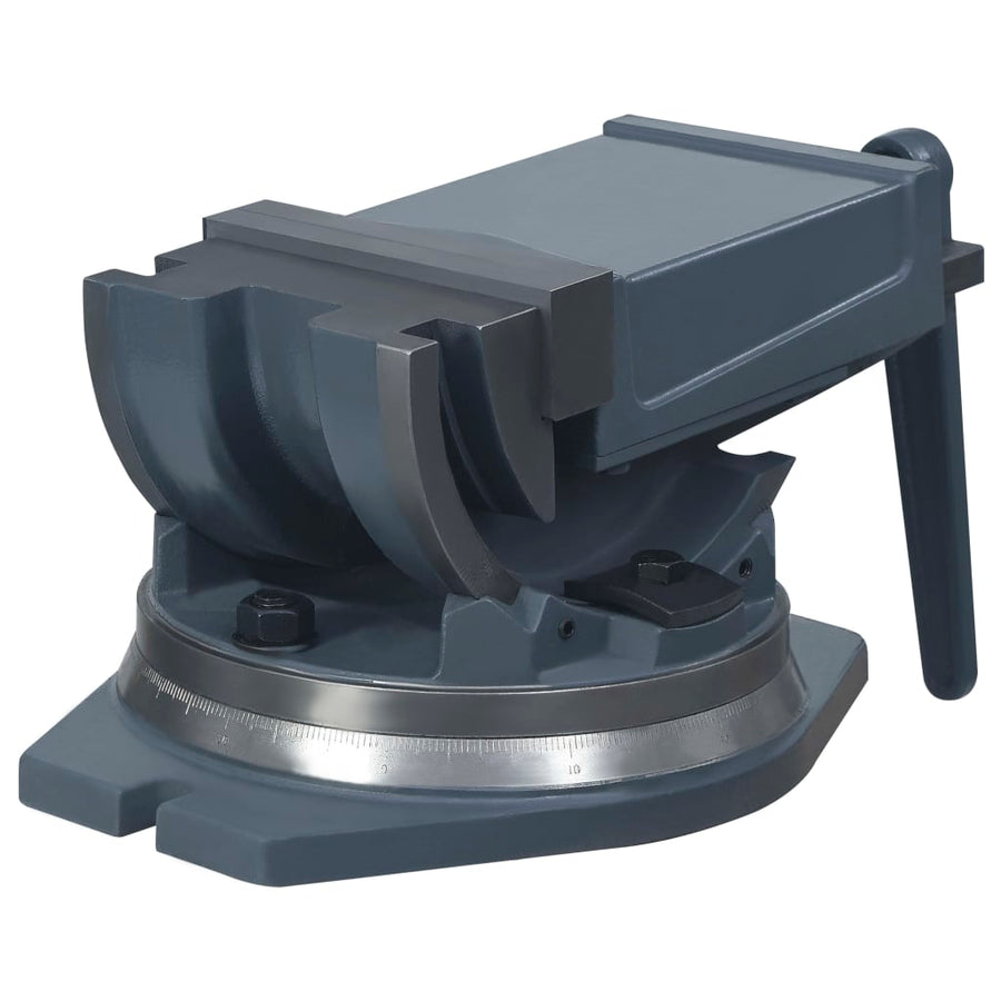 Bankschroef Met 2 Assen Kantelbaar 160 mm