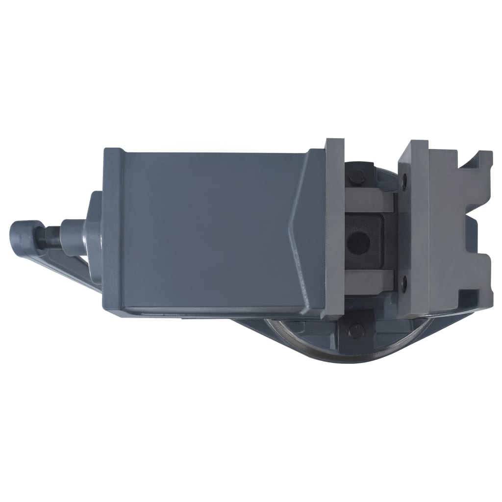 Bankschroef Met 2 Assen Kantelbaar 160 mm