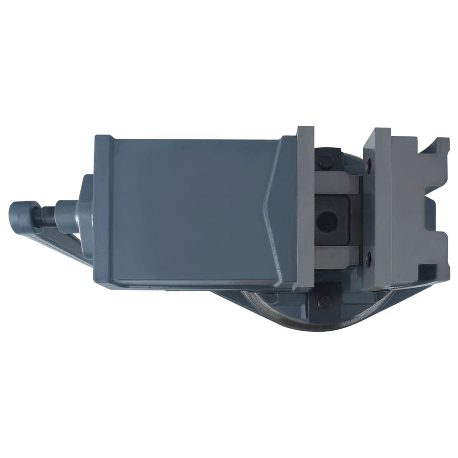 Bankschroef Met 2 Assen Kantelbaar 160 mm