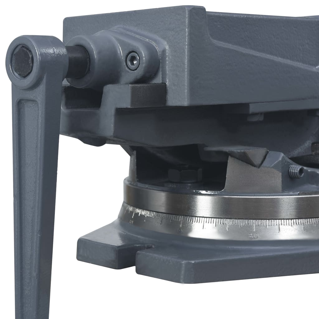 Bankschroef Met 2 Assen Kantelbaar 160 mm
