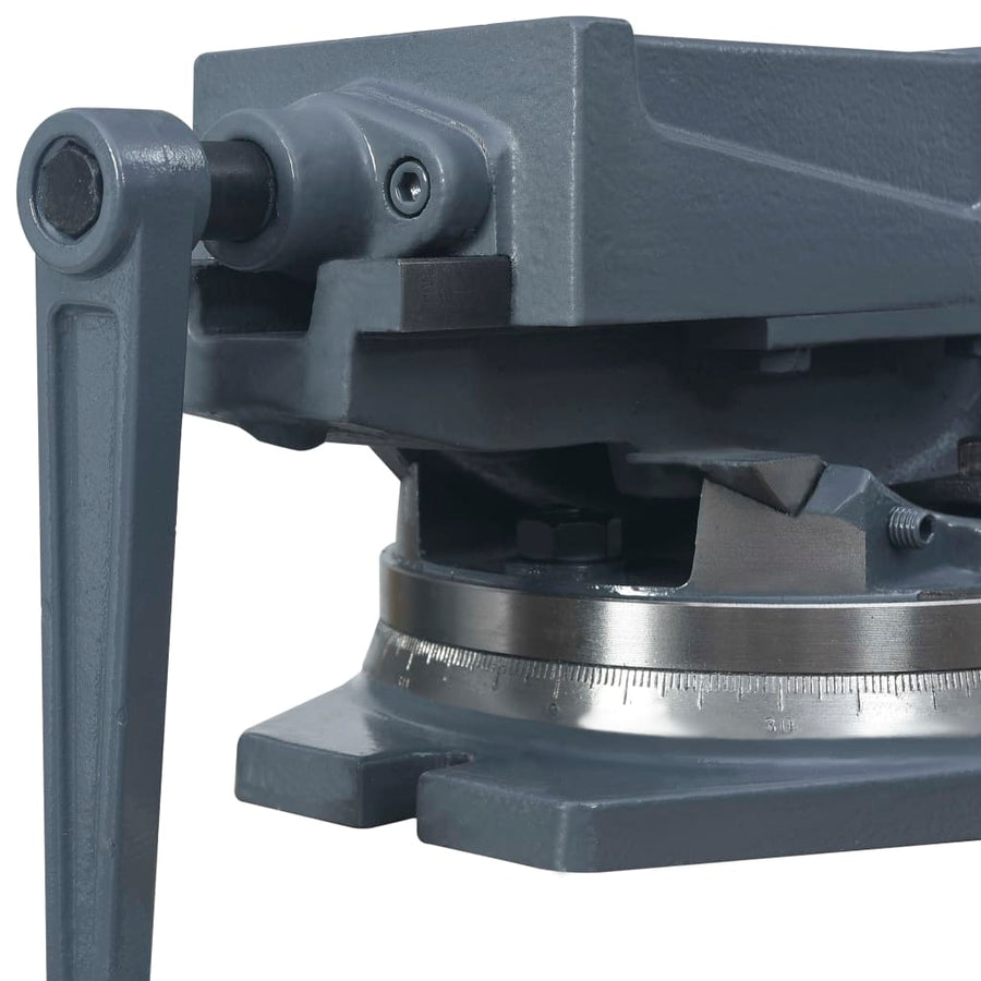 Bankschroef Met 2 Assen Kantelbaar 160 mm