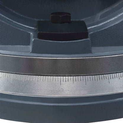 Bankschroef Met 2 Assen Kantelbaar 160 mm