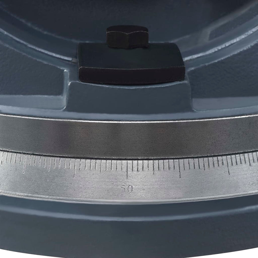 Bankschroef Met 2 Assen Kantelbaar 160 mm