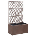 Latwerkplantenbak Verhoogd Met Potten Rattan 58 x 30 x 107 cm Bruin