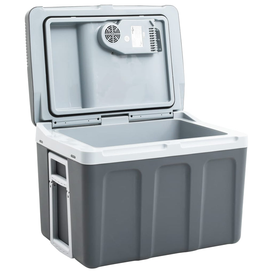 Koelbox Thermo-Elektrisch Draagbaar 12 V 230 V E 40 l