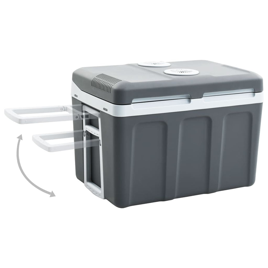 Koelbox Thermo-Elektrisch Draagbaar 12 V 230 V E 40 l