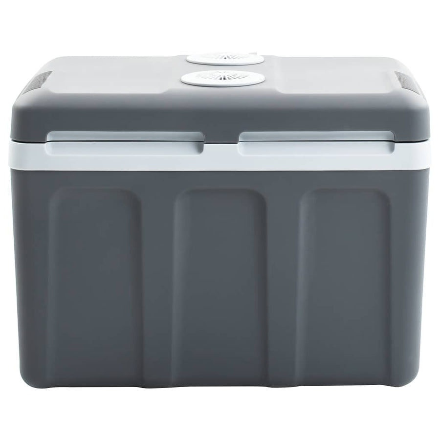 Koelbox Thermo-Elektrisch Draagbaar 12 V 230 V E 40 l