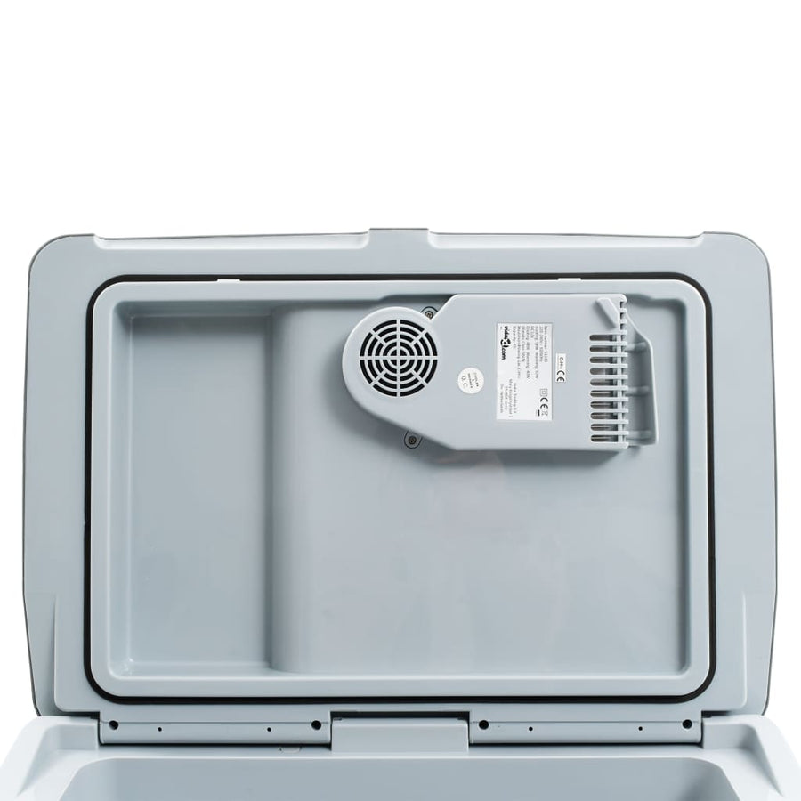 Koelbox Thermo-Elektrisch Draagbaar 12 V 230 V E 40 l