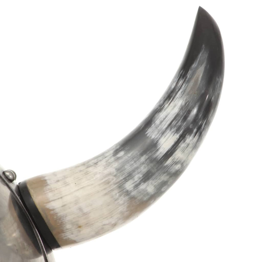Vikinghelm Fantasie Larp Staal Zilverkleurig