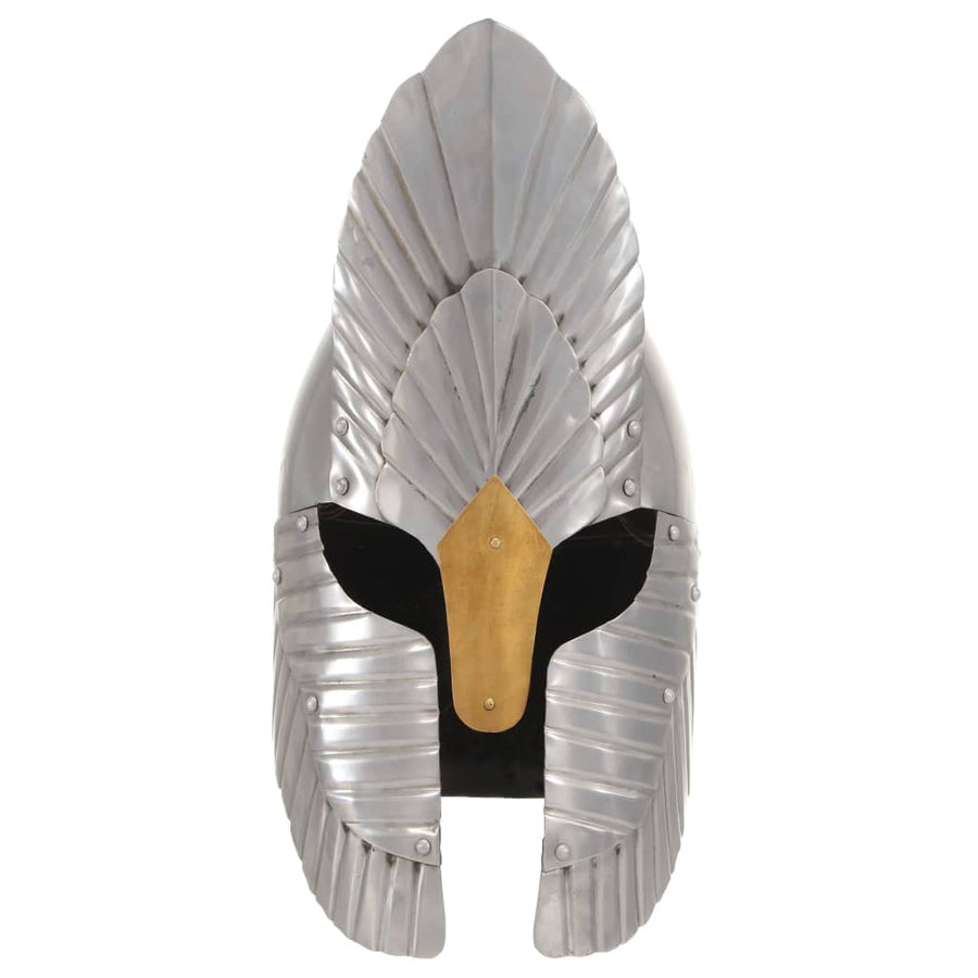 Ridderhelm Middeleeuws Replica Larp Staal Zilverkleurig model 12