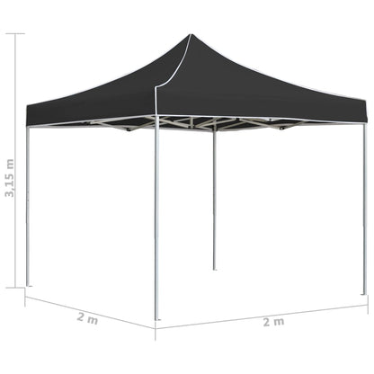 Partytent Professioneel Inklapbaar 2X2 M Aluminium Antraciet Zonder wanden