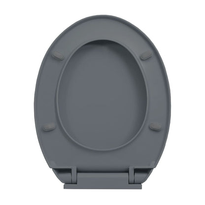 Toiletbril soft-close en quick-release ovaal grijs Grijs Ja
