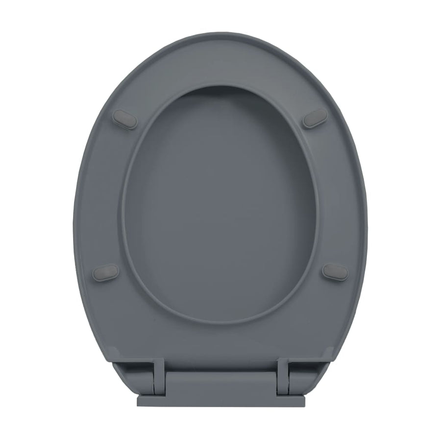 Toiletbril soft-close en quick-release ovaal grijs Grijs Ja