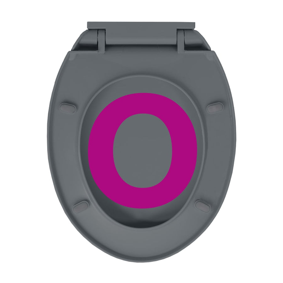 Toiletbril soft-close en quick-release ovaal grijs Grijs Ja