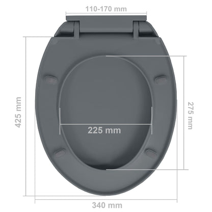 Toiletbril soft-close en quick-release ovaal grijs Grijs Ja