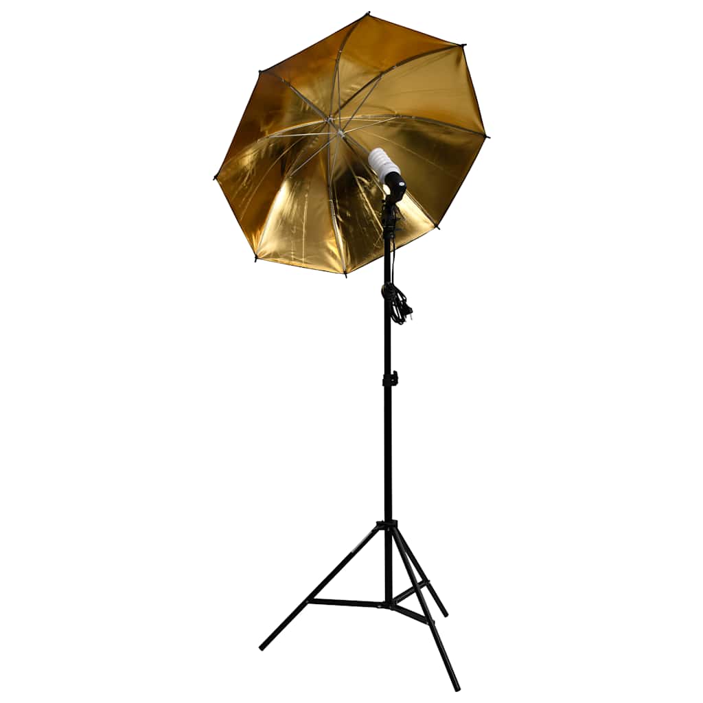 Fotostudioset Met Verlichtingsset En Softboxen 9 met spiraalvormige lamp