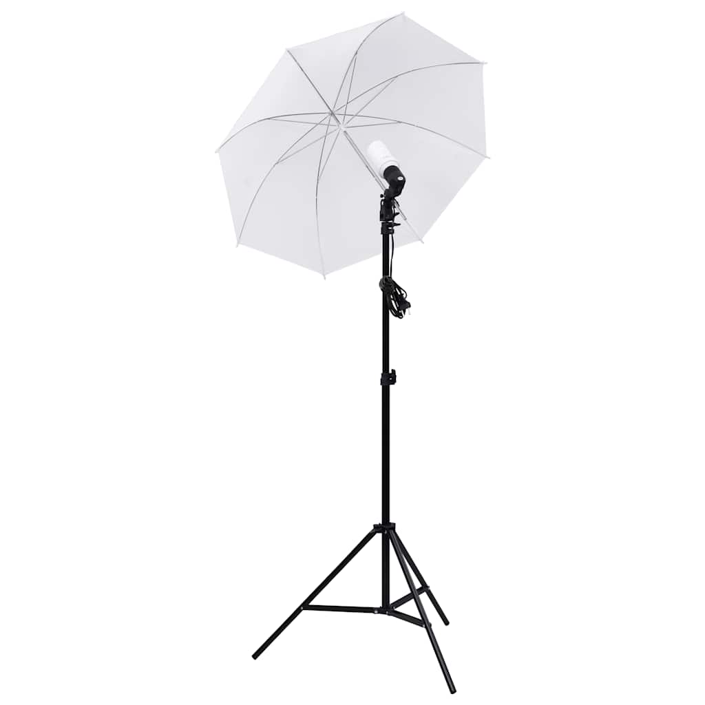 Fotostudioset Met Verlichtingsset En Softboxen