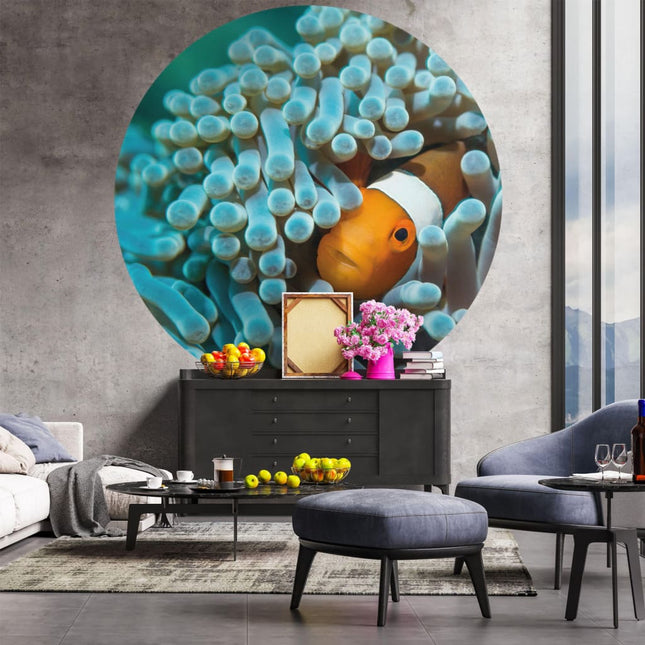 Wallart Behangcirkel Nemo The Anemonefish 190 Cm