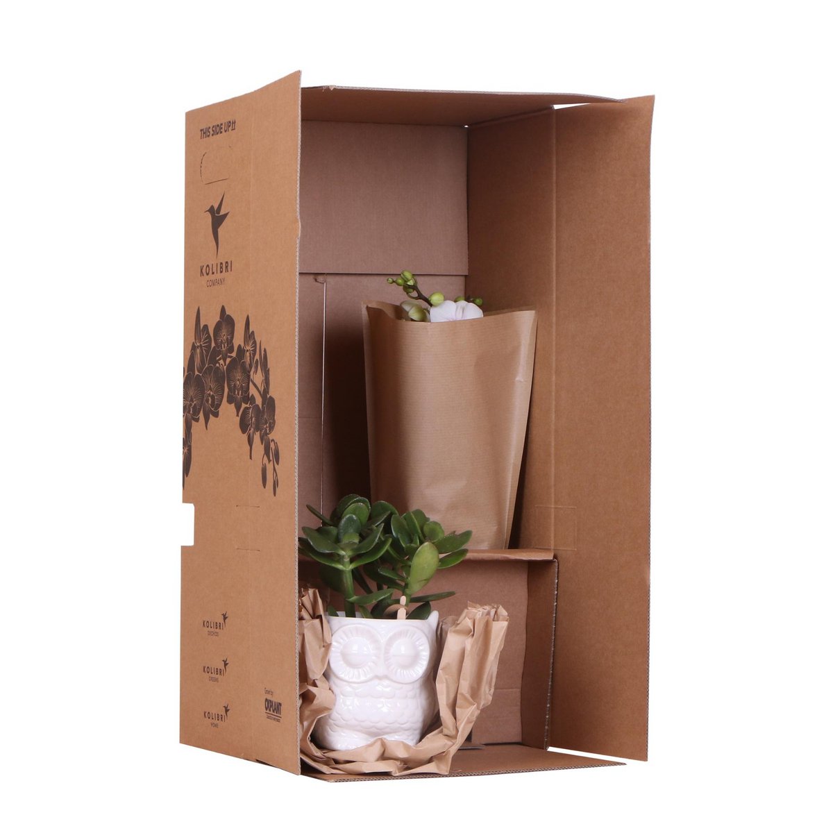 Plantenset met Roze Orchidee, Succulent, Vintage Witte Potten en Bamboe Dienblad