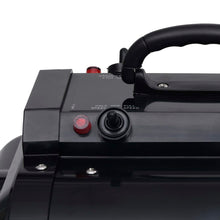Huisdierenföhn Zwart Dubbele motor